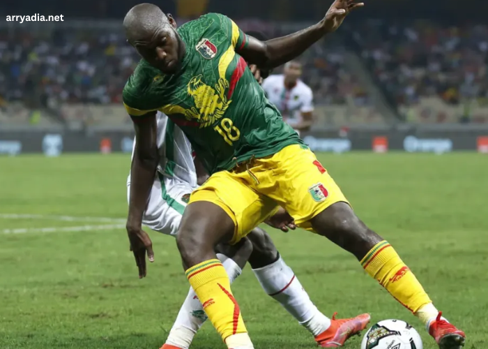 Mali vs Afrique Du Sud